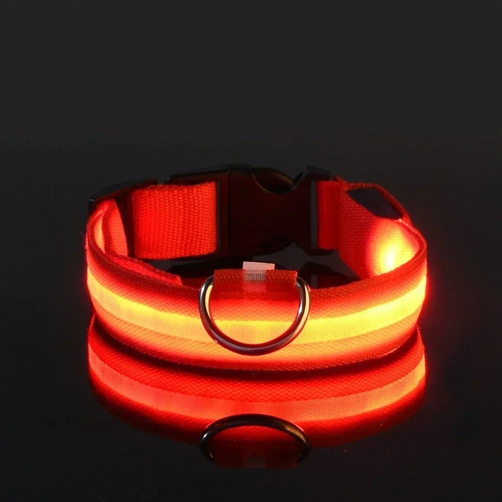 Hundehalsband aus Nylon mit LED-Beleuchtung für mehr Sicherheit bei Nacht, leuchtet im Dunkeln
