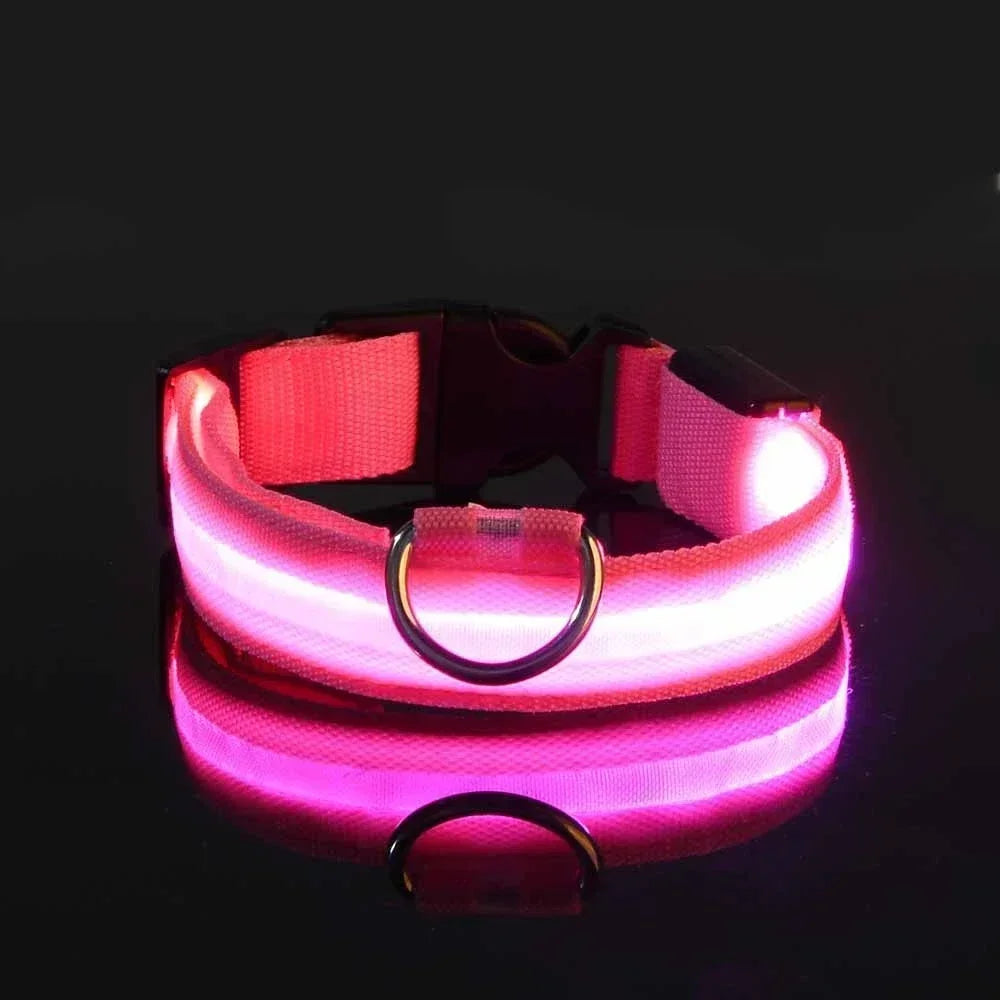 Hundehalsband aus Nylon mit LED-Beleuchtung für mehr Sicherheit bei Nacht, leuchtet im Dunkeln