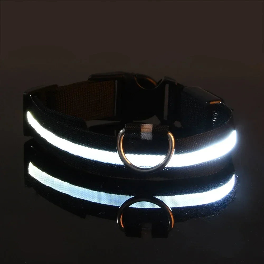 Hundehalsband aus Nylon mit LED-Beleuchtung für mehr Sicherheit bei Nacht, leuchtet im Dunkeln