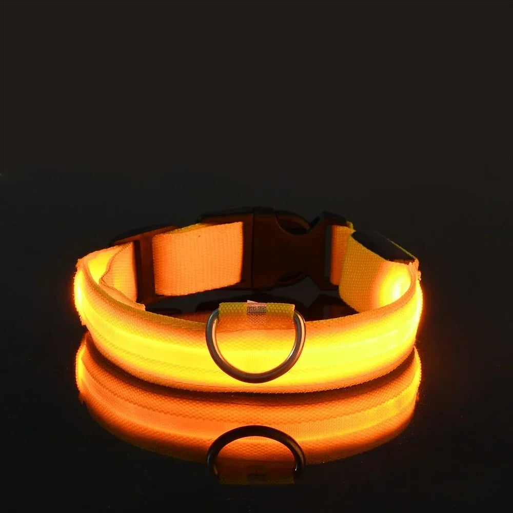 Hundehalsband aus Nylon mit LED-Beleuchtung für mehr Sicherheit bei Nacht, leuchtet im Dunkeln