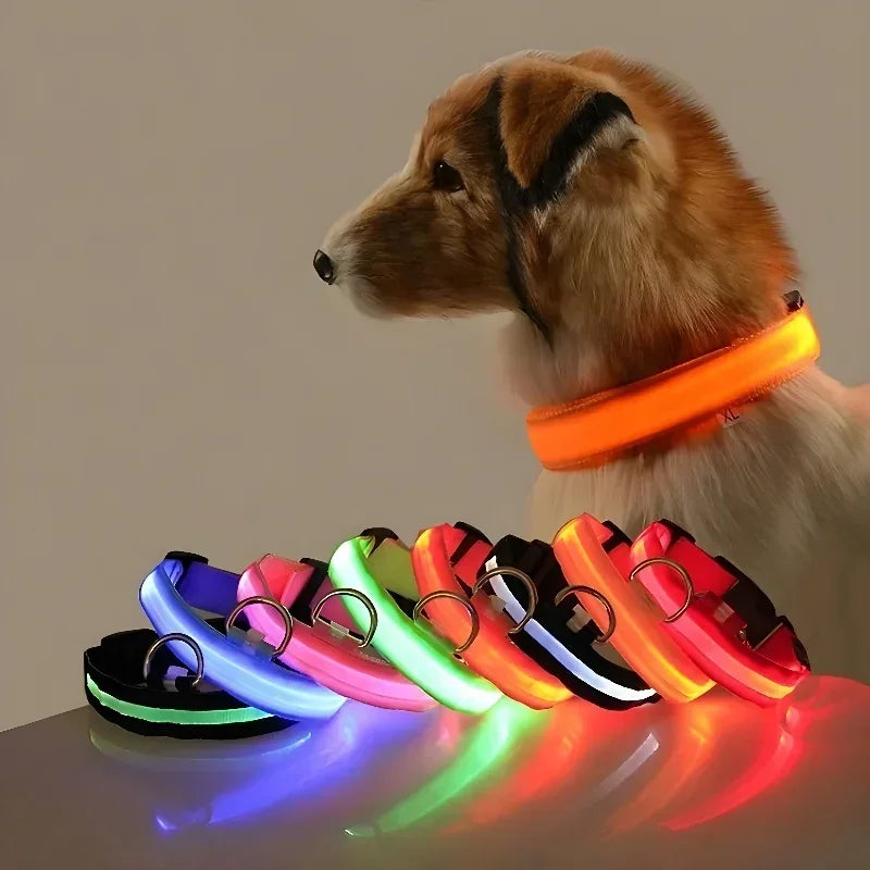 Hundehalsband aus Nylon mit LED-Beleuchtung für mehr Sicherheit bei Nacht, leuchtet im Dunkeln