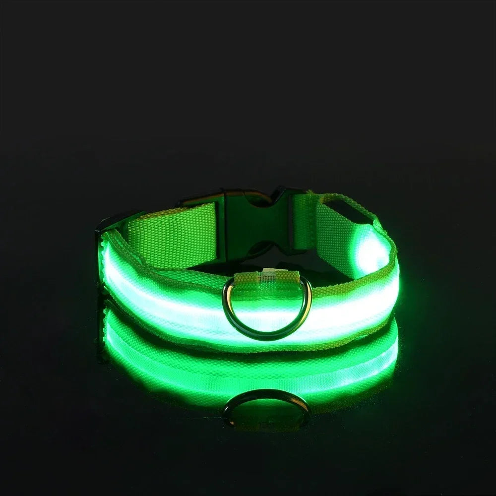 Hundehalsband aus Nylon mit LED-Beleuchtung für mehr Sicherheit bei Nacht, leuchtet im Dunkeln