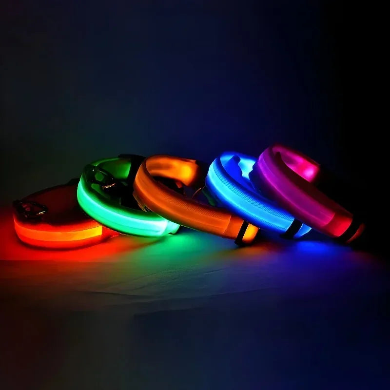 Hundehalsband aus Nylon mit LED-Beleuchtung für mehr Sicherheit bei Nacht, leuchtet im Dunkeln