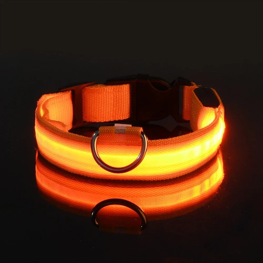 Hundehalsband aus Nylon mit LED-Beleuchtung für mehr Sicherheit bei Nacht, leuchtet im Dunkeln