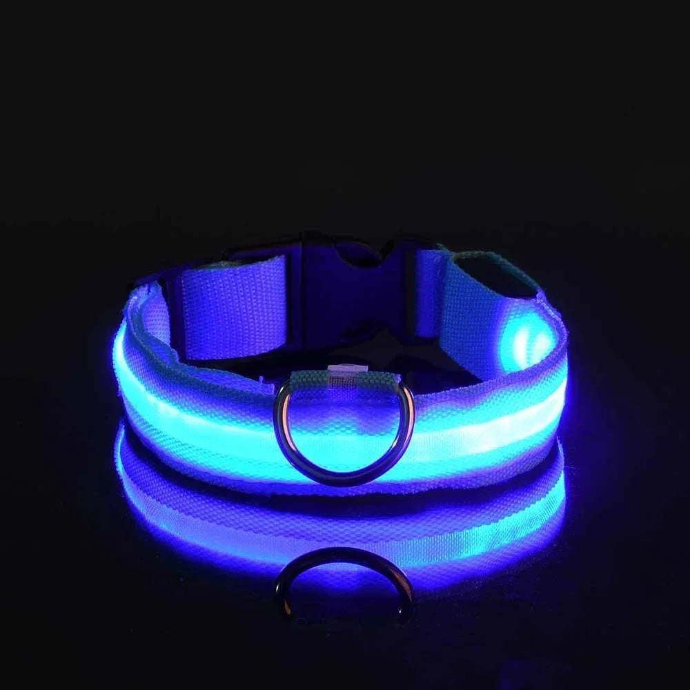 Hundehalsband aus Nylon mit LED-Beleuchtung für mehr Sicherheit bei Nacht, leuchtet im Dunkeln