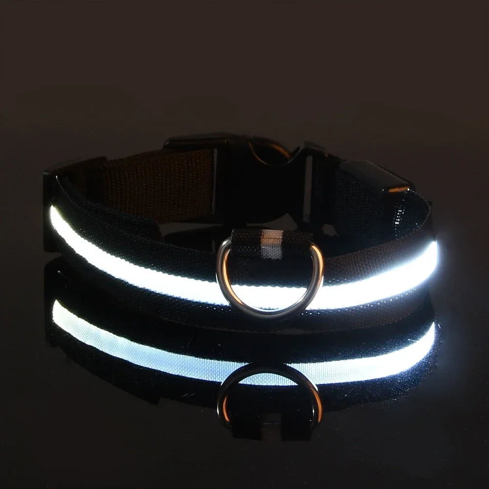 Hundehalsband aus Nylon mit LED-Beleuchtung für mehr Sicherheit bei Nacht, leuchtet im Dunkeln