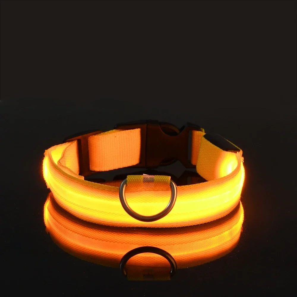Hundehalsband aus Nylon mit LED-Beleuchtung für mehr Sicherheit bei Nacht, leuchtet im Dunkeln