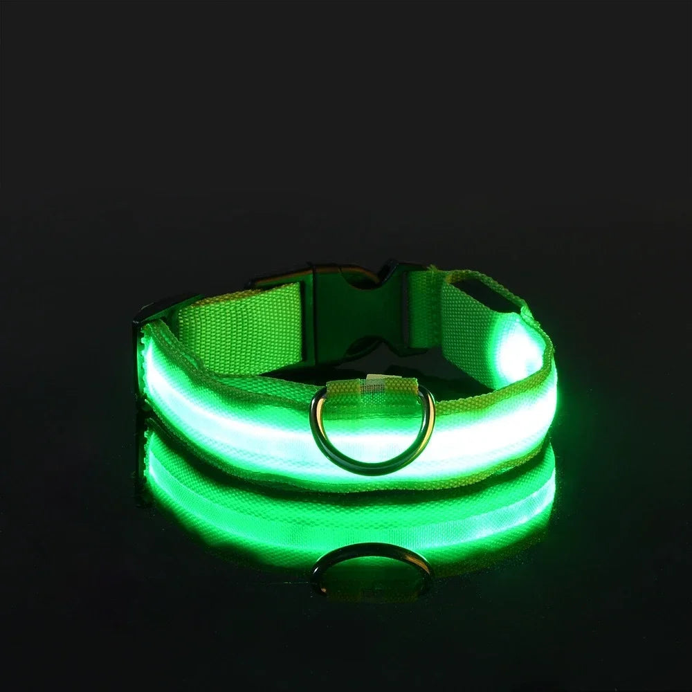 Hundehalsband aus Nylon mit LED-Beleuchtung für mehr Sicherheit bei Nacht, leuchtet im Dunkeln